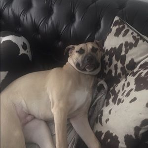 Meet your Posher, Julia